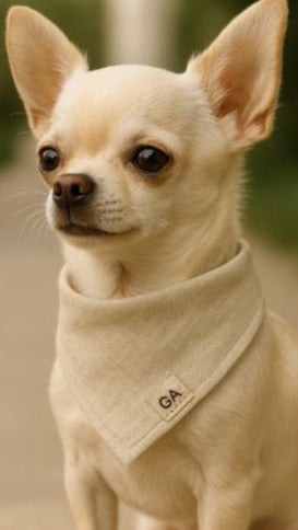 GhostDrape – Bone Linen