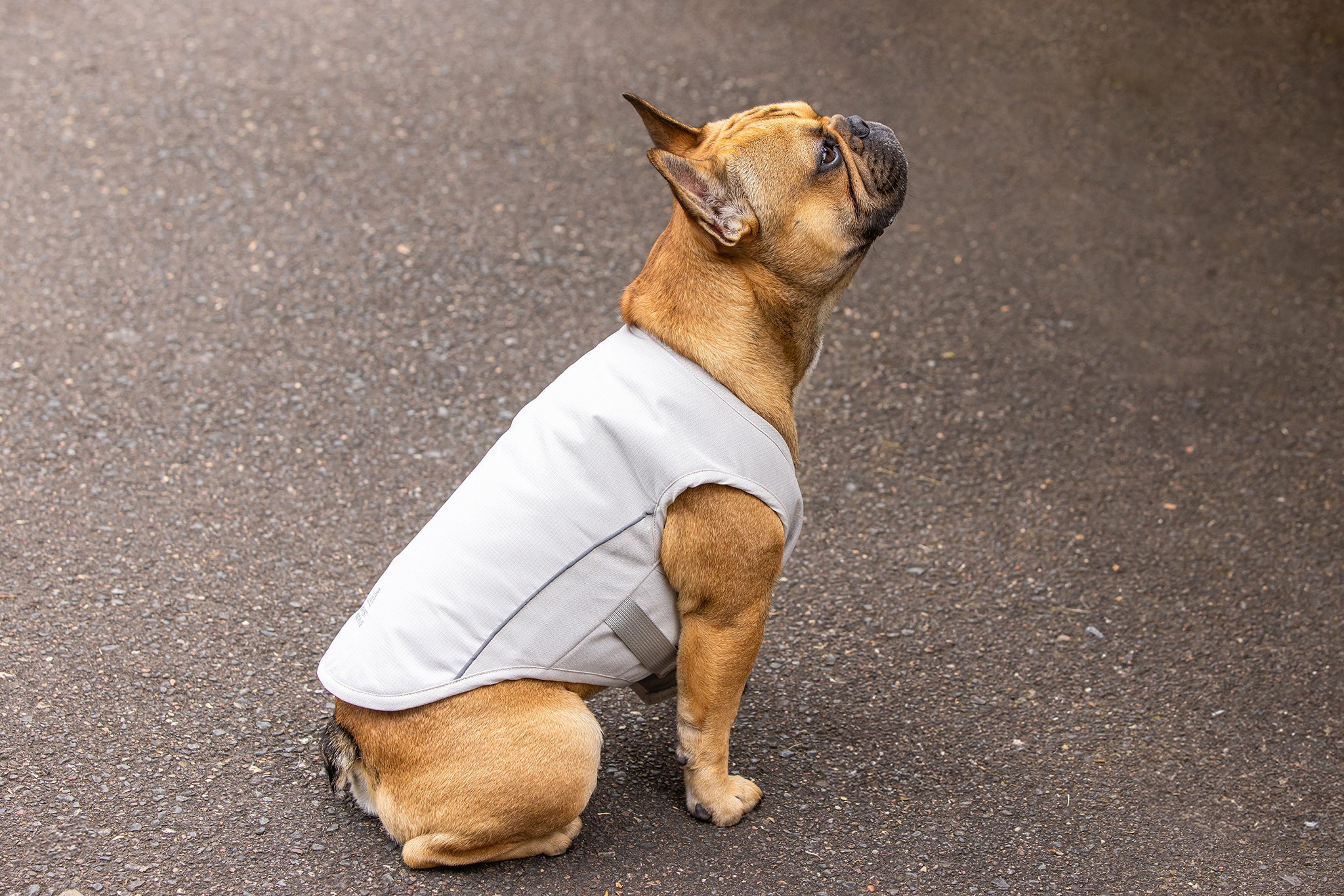 GhostForm - Cooling Vest