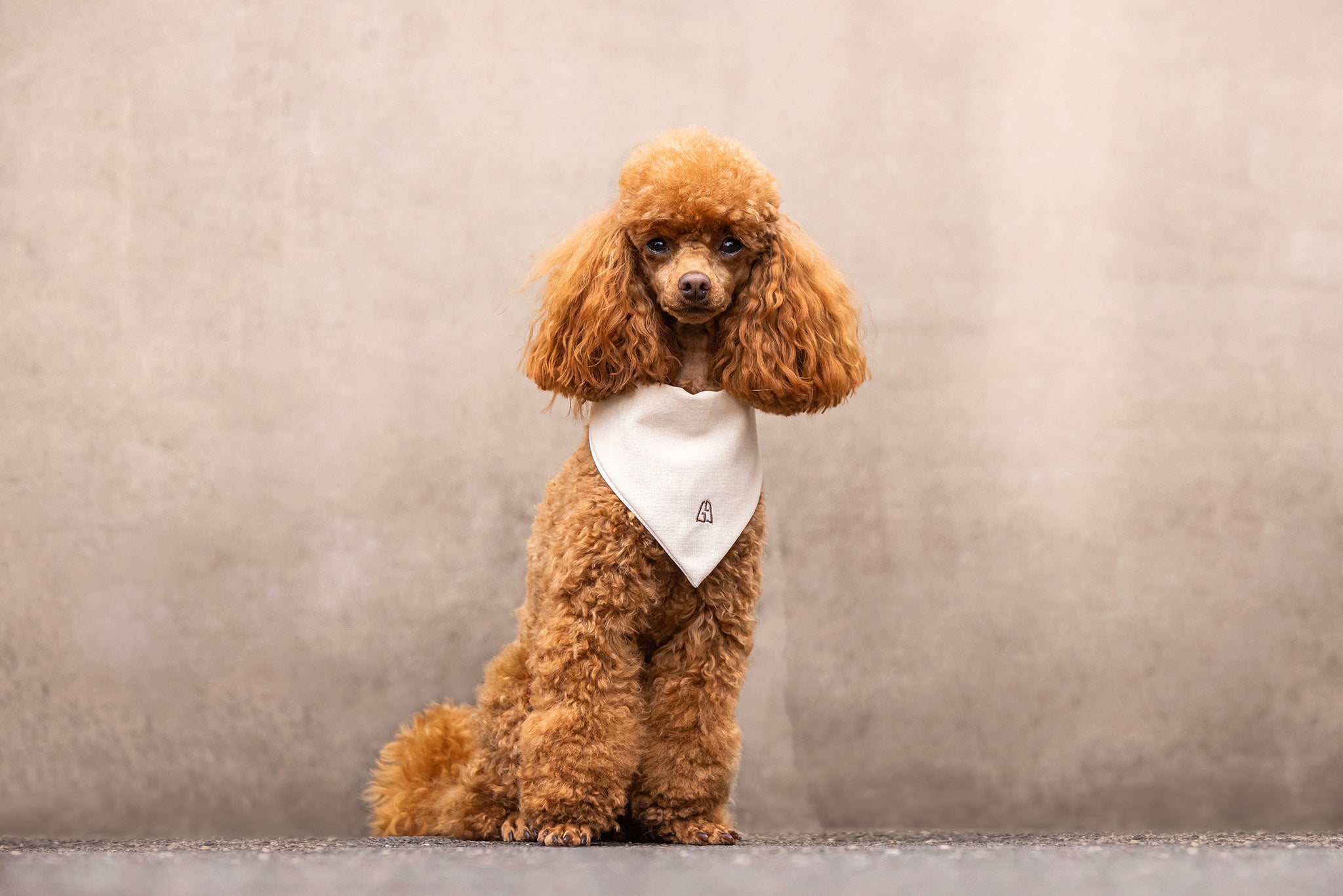 GhostDrape – Bandana