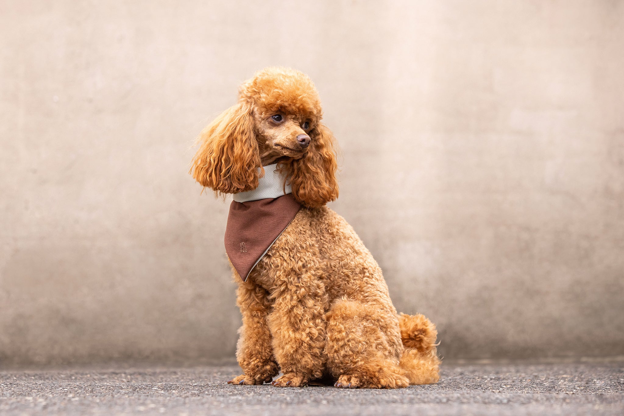 GhostDrape – Bandana