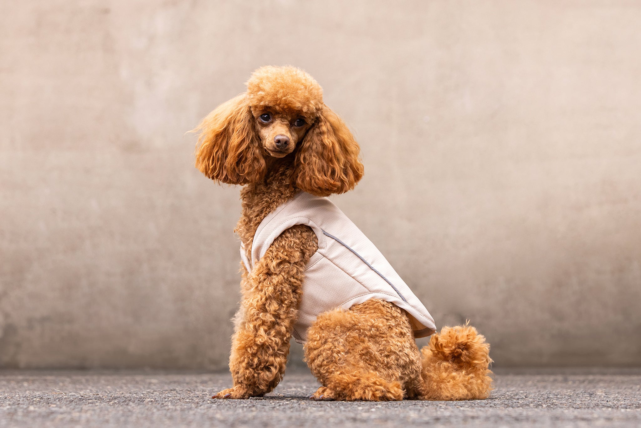 GhostForm - Cooling Vest