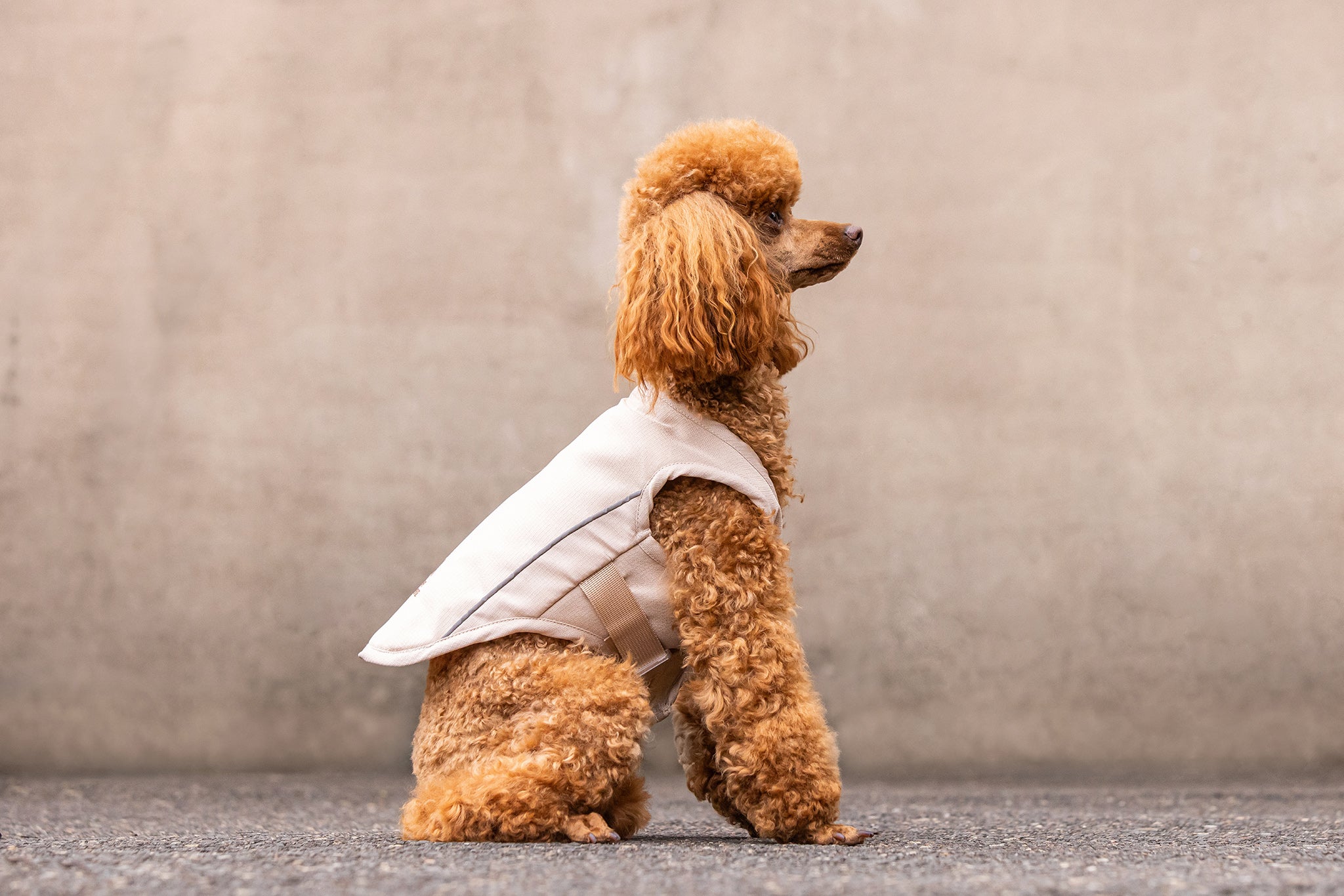 GhostForm - Cooling Vest