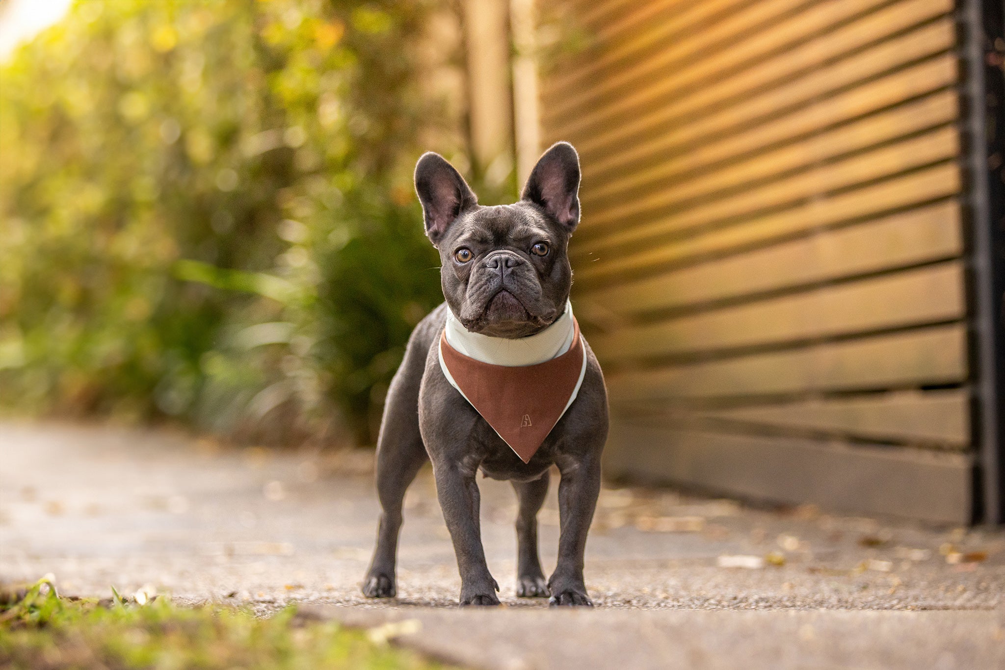 GhostDrape – Bandana