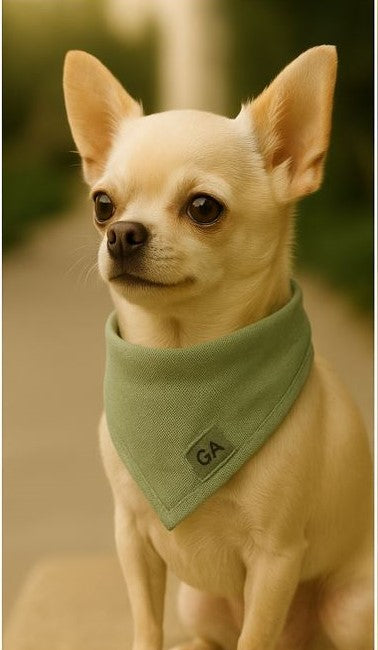 GhostDrape – Olive Mist