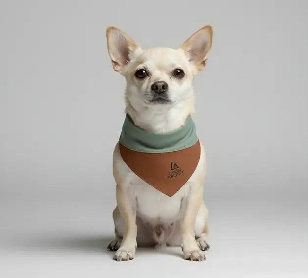 GhostDrape- Stone brown and Olive Mist